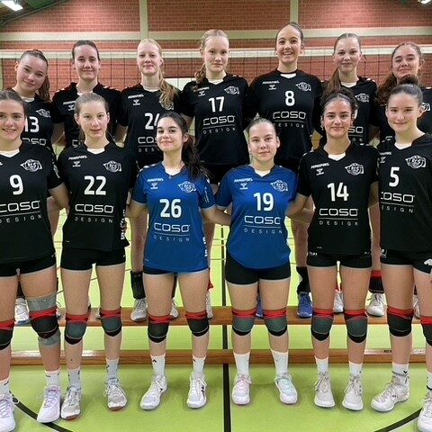 Telekom Post SV Bielefeld, Sportverein, Almhalle, Almhölle, Westdeutschemeisterschft, WVV, Westdeutscher Volleyballverband, Bielefeld, Volleyball