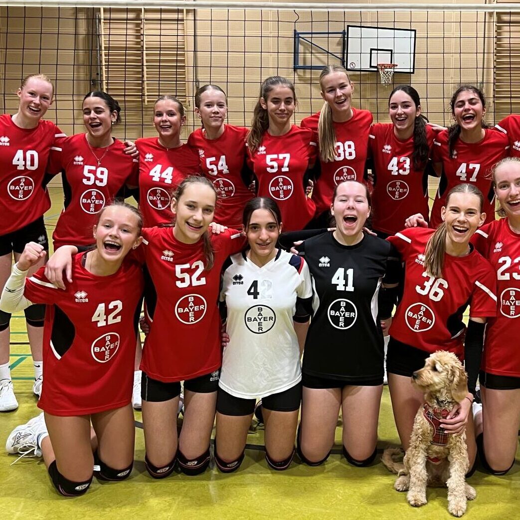 Telekom Post SV Bielefeld, Sportverein, Almhalle, Almhölle, Westdeutschemeisterschft, WVV, Westdeutscher Volleyballverband, Bielefeld, Volleyball